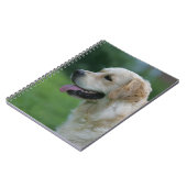 Golden retrieverHeadshot 2 2 Notizblock (Linke Seite)