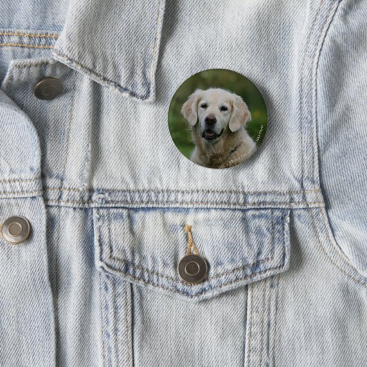 Golden retrieverHeadshot 2 Button (Beispiel)