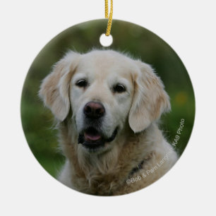 Golden retrieverHeadshot 2 Keramikornament