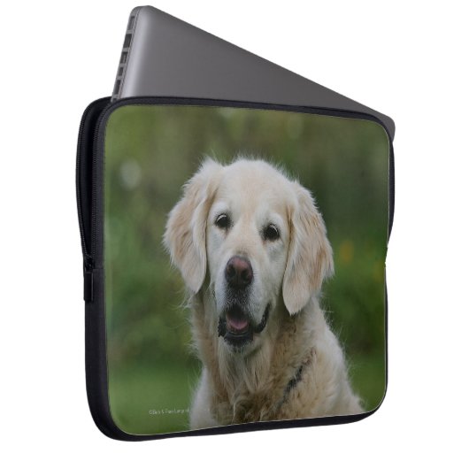 Golden retrieverHeadshot 2 Laptopschutzhülle (Vorne Rechts)