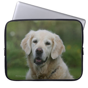 Golden retrieverHeadshot 2 Laptopschutzhülle