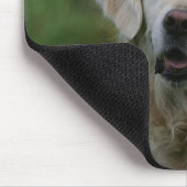 Golden retrieverHeadshot 2 Mousepad (Ecke)