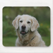 Golden retrieverHeadshot 2 Mousepad (Vorne)