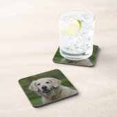 Golden retrieverHeadshot 2 Untersetzer (Rechte Seite)