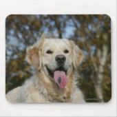 Golden retrieverHeadshot 3 Mousepad (Vorne)