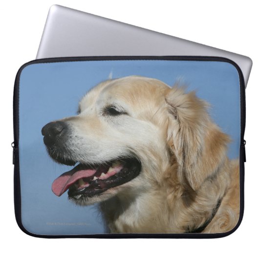 Golden retrieverHeadshot 4 Laptopschutzhülle (Vorderseite)