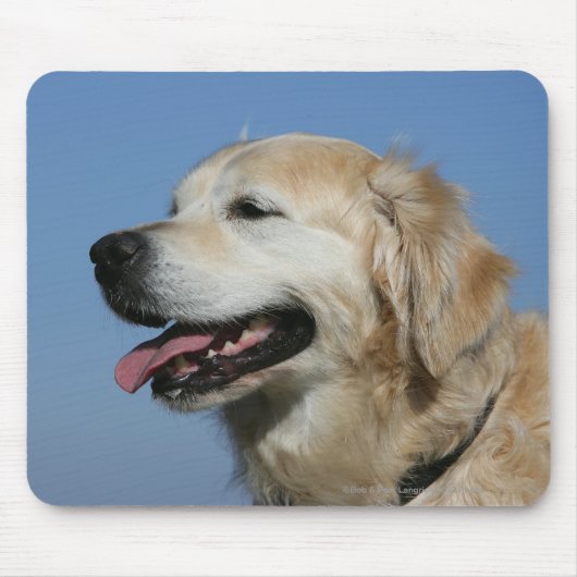 Golden retrieverHeadshot 4 Mousepad (Vorne)