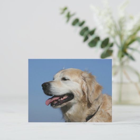 Golden retrieverHeadshot 4 Postkarte (Stehend Vorderseite)