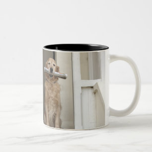 Golden retrieverhund, der an der Haustür sitzt Zweifarbige Tasse
