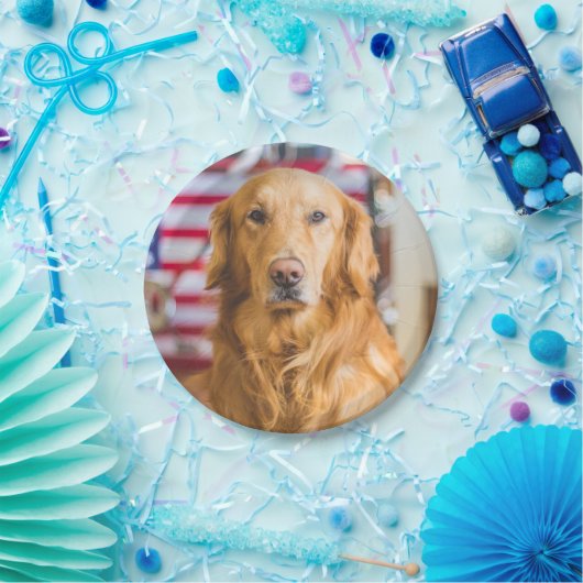 Golden retrieverhundeporträt pappteller (Party)