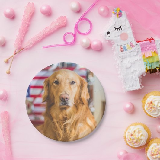 Golden retrieverhundeporträt pappteller (Party)