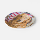 Golden retrieverhundeporträt pappteller (Schrägansicht)