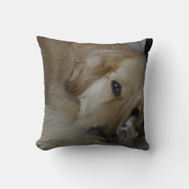 Golden retrieverkissen kissen (Vorderseite)