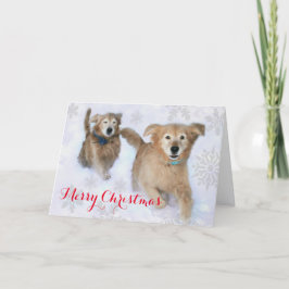 Golden Retrievers Dashing Thru der Schnee Weihnach Feiertagskarte