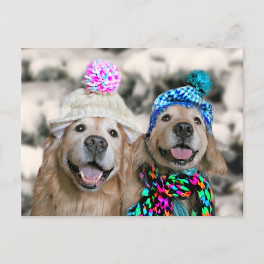 Golden Retrievers im Winter Hats Weihnachten (Vorderseite)