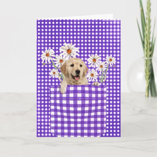 Golden Retrievers in Gingham Pocket Card Karte (Vorderseite)