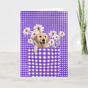 Golden Retrievers in Gingham Pocket Card Karte