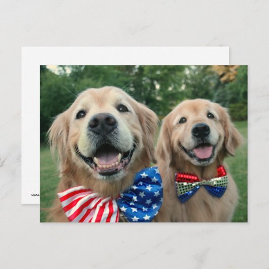 Golden Retrievers in Independence Day Bow-Krawatte Postkarte (Vorne/Hinten)