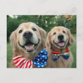 Golden Retrievers in Independence Day Bow-Krawatte Postkarte (Vorderseite)