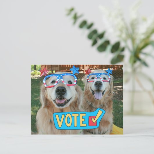 Golden Retrievers in Independence Day Glasses Abst Postkarte (Stehend Vorderseite)
