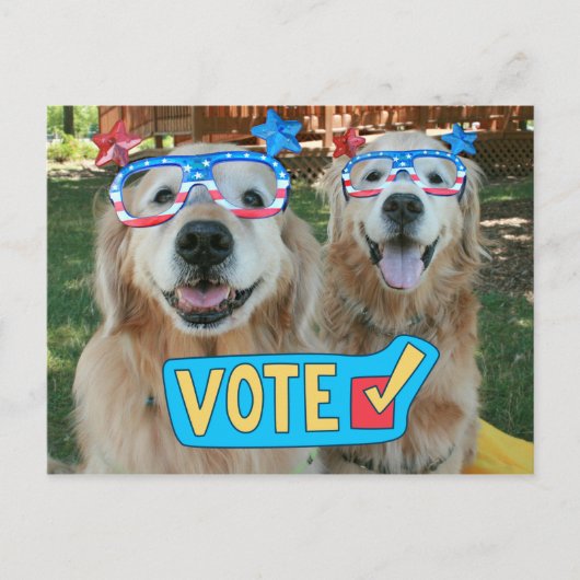Golden Retrievers in Independence Day Glasses Abst Postkarte (Vorderseite)