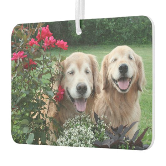 Golden Retrievers Laughing Outdoor by Rose Autolufterfrischer (Links)