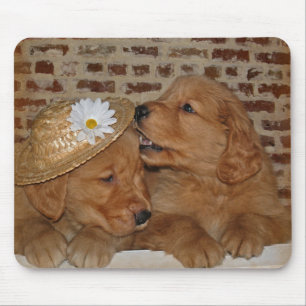 Golden Retrievers Mousepad