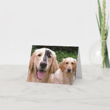 Golden Retrievers Peter Fox und Mama Danke Karte