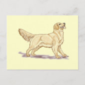 Golden Retrievers Postkarte (Vorderseite)