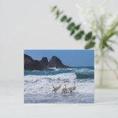 Golden Retrievers Postkarte (Stehend Vorderseite)