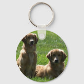 Golden Retrievers Schlüsselanhänger (Vorderseite)