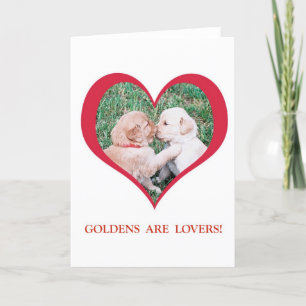Golden Retrievers sind Liebhaber! Valentine's Day Feiertagskarte