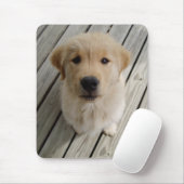 Golden retrieverwelpe mousepad (Mit Mouse)