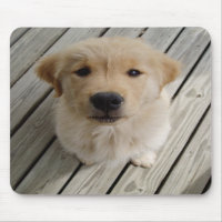 Golden retrieverwelpe mousepad