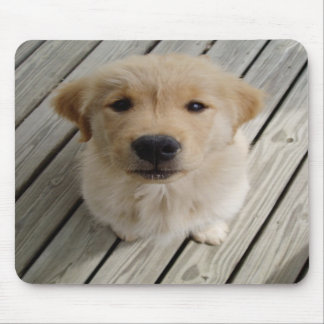 Golden retrieverwelpe mousepad