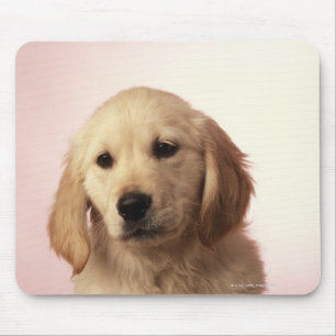 Golden retrieverwelpe mousepad