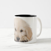 Golden retrieverwelpe zweifarbige tasse (VorderseiteRechts)