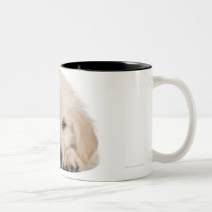 Golden retrieverwelpe zweifarbige tasse