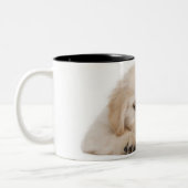 Golden retrieverwelpe zweifarbige tasse (Links)