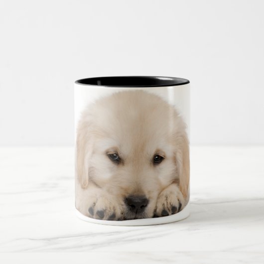 Golden retrieverwelpe zweifarbige tasse (Mittel)