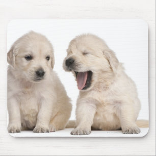Golden retrieverwelpen (4 Wochen alt) Mousepad