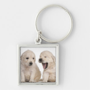 Golden retrieverwelpen (4 Wochen alt) Schlüsselanhänger