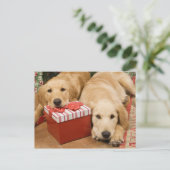 Golden retrieverwelpen mit Weihnachtsgeschenk Feiertagspostkarte (Stehend Vorderseite)