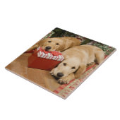 Golden retrieverwelpen mit Weihnachtsgeschenk Fliese (Seite)