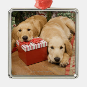Golden retrieverwelpen mit Weihnachtsgeschenk Ornament Aus Metall