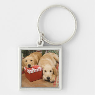 Golden retrieverwelpen mit Weihnachtsgeschenk Schlüsselanhänger