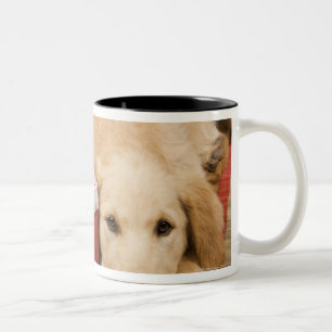 Golden retrieverwelpen mit Weihnachtsgeschenk Zweifarbige Tasse