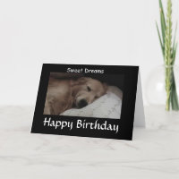 Golden Retriver Sweet Dreams