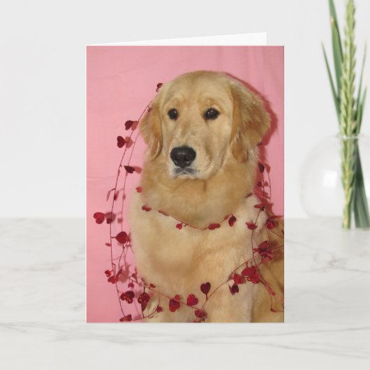 Golden Retriver Valentine's Day Card Karte (Vorderseite)