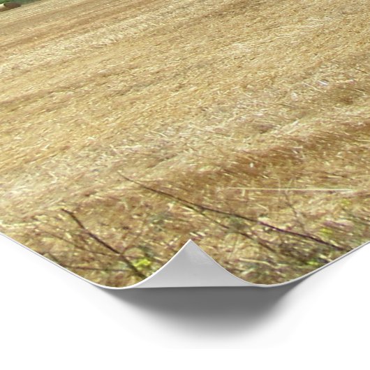 Golden Rolls of Hay and Deep Blue Sea Design Poster (Ecke)